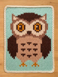 A square knitted owl chunky blanket  featuring a detailed owl design in shades of brown, beige, and orange on a light blue background, finished with a cream braided border, laid flat on a wooden surface.